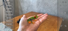 3D Frog Skeleton screenshot 11
