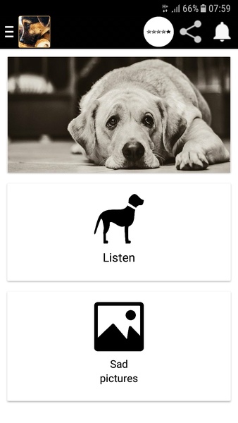 Dog crying - Preview 4