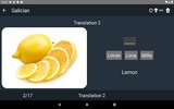 Galician Language Tests screenshot 5