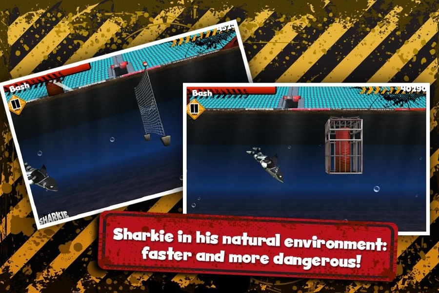Sharkie - Preview 6