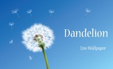 Dandelion screenshot 4