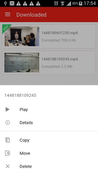 Pro Downloader - Preview 2