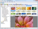 XnView Classic screenshot 4