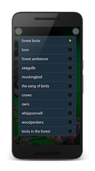Birds Sounds Relax and Sleep - Preview 3
