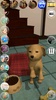 Sweet Talking Puppy: Funny Dog screenshot 4