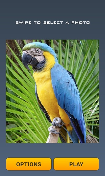 Cute Birds Puzzle - Preview 4