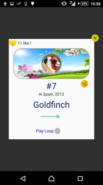 Goldfinch Hybrid Trainer - Preview 1