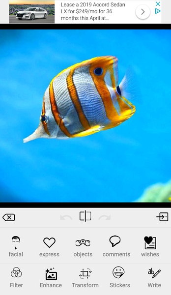 Decent Photo Editor - Preview 2