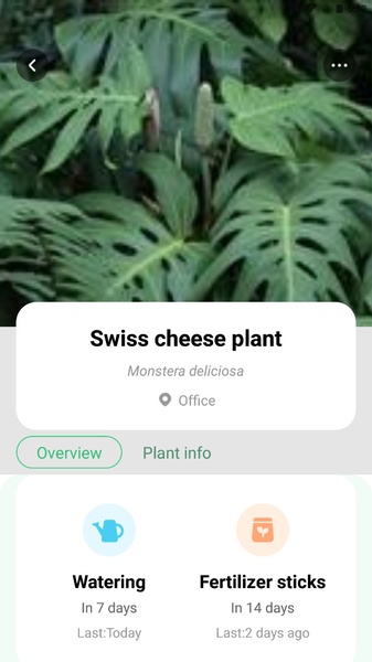 Plant Parent - Preview 14