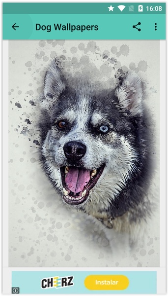 Dog Wallpapers (HD) - Preview 3