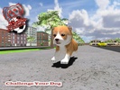 My Cute Pet Dog Puppy Jack Sim screenshot 2