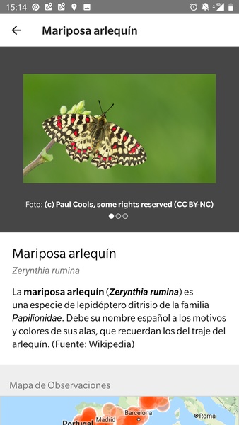 iNaturalist - Preview 10