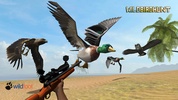 Wild Bird Hunt screenshot 7