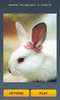 Cute Rabbits Puzzle screenshot 5