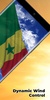 Senegal Flag screenshot 3