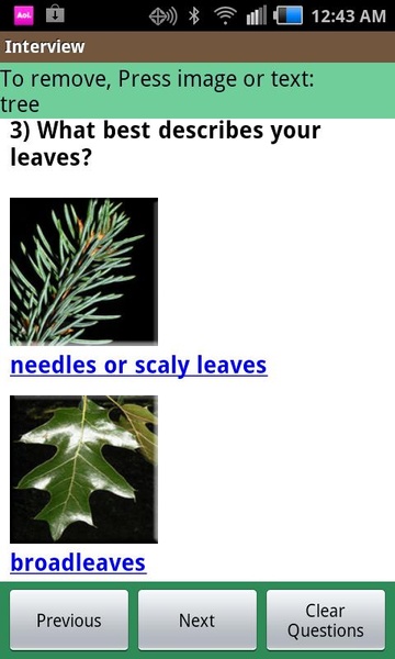 VT Tree ID - Preview 3