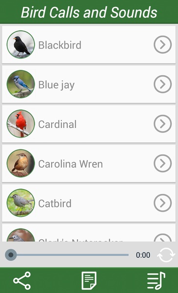 Bird Calls and Sounds - Preview 3