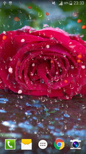 Rose Drops Live Wallpaper - Preview 3