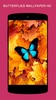 Butterfly Wallpapers screenshot 4