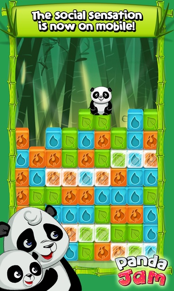 Panda Jam - Preview 5