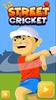 Street Cricket screenshot 15