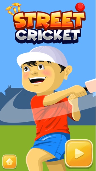 Street Cricket - Preview 15