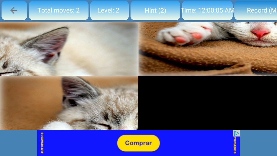 Puzzle Cats and Kitty - Preview 6