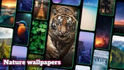 HD Wallpapers 4k - Backgrounds screenshot 3