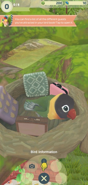 Bird bnb - Preview 5