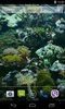 Aquarium Video Live Wallpaper screenshot 2