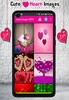 Love Images screenshot 4