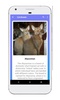 Cat Breeds Quiz screenshot 3