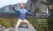 Qi Gong for Energy & Vitality screenshot 15