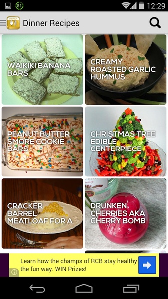 Dinner Recipes - Preview 4
