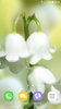 Lily of The Valley Wallpaper screenshot 9