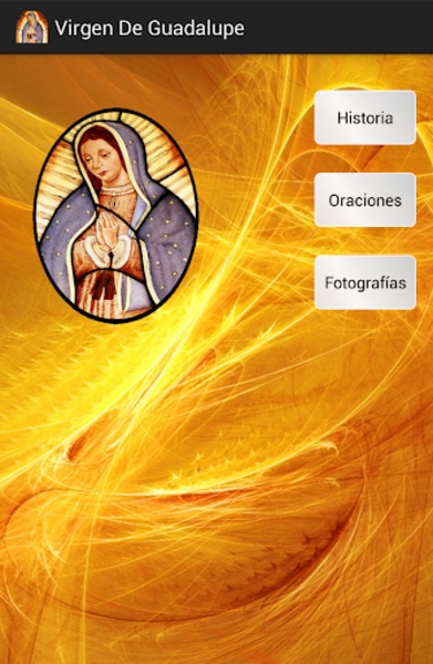 Virgen De Guadalupe - Preview 4