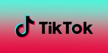 TikTok feature