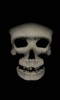 Zombie skull free screenshot 3