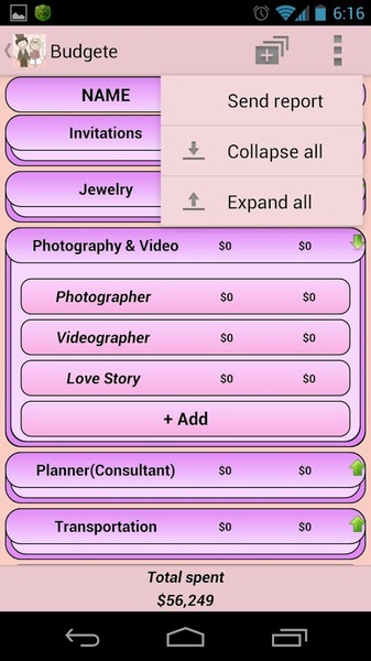Wedding Planning - Preview 3
