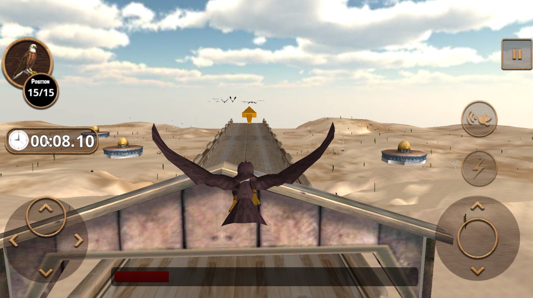 Birds Race Simulator: Eagle Race Game - Preview 4