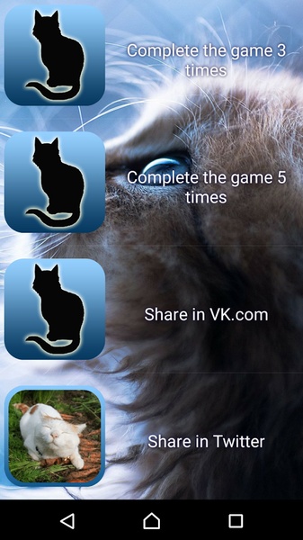Find a cat 3 - Preview 1