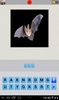 Animaux quizz screenshot 10