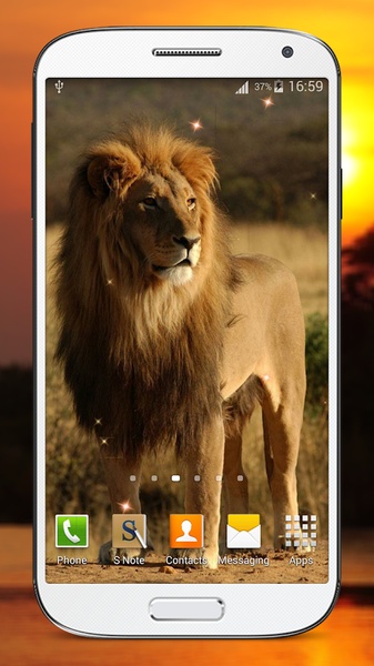 Wild Lion Live Wallpaper HD - Preview 1