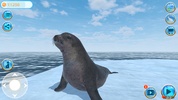 Seal Island screenshot 4