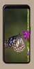 Butterfly Wallpaper OurcreativeApps screenshot 3