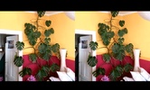 Augmented VR Experience Demo screenshot 3