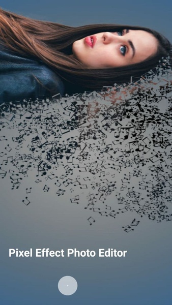 Pixel Effect Photo Editor - Preview 2