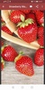 Strawberry Wallpapers screenshot 4