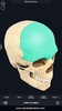 Skull Anatomy Pro. screenshot 13