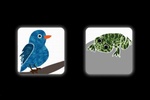 Animal Sounds Quiz Free screenshot 5